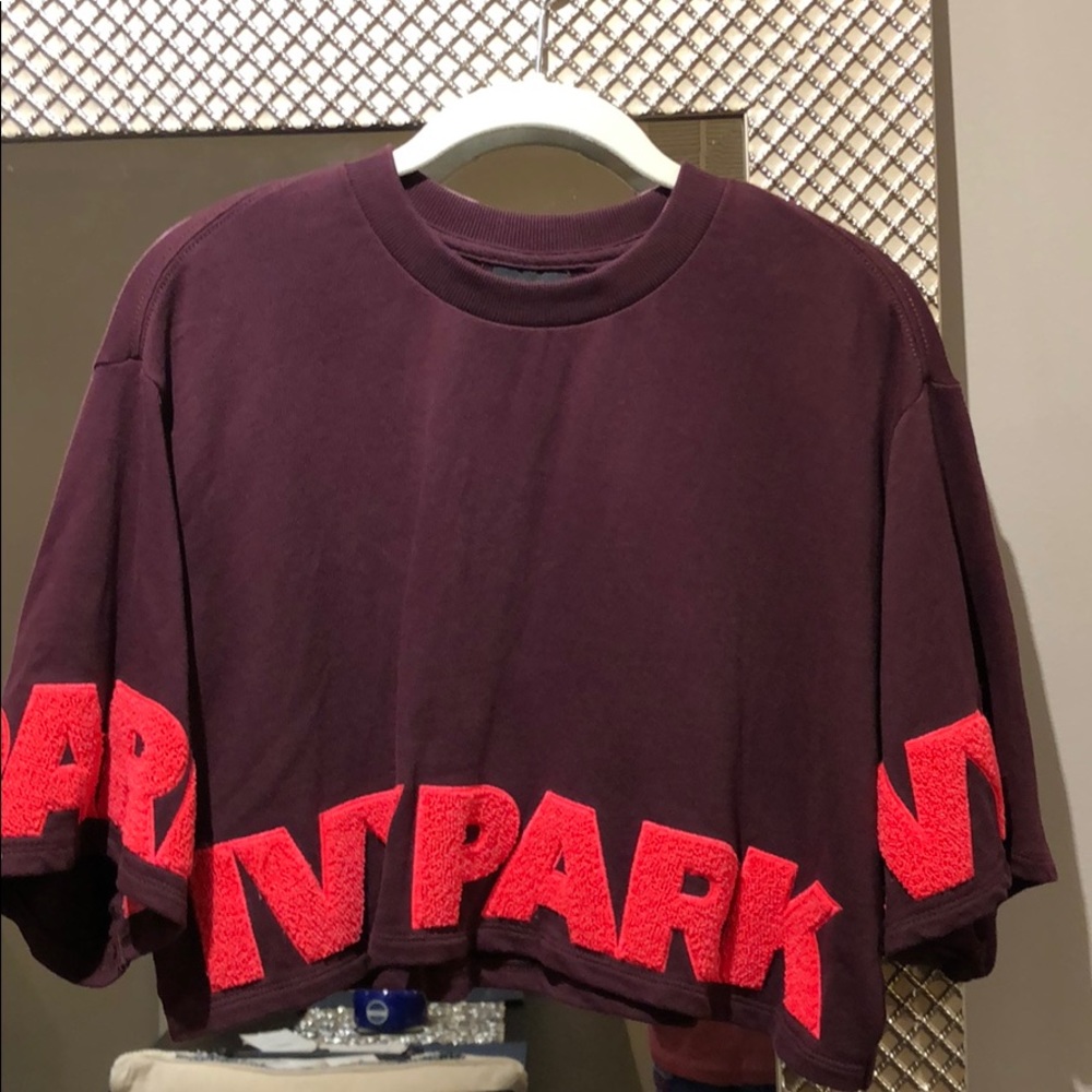 Ivy Park Cropped Top